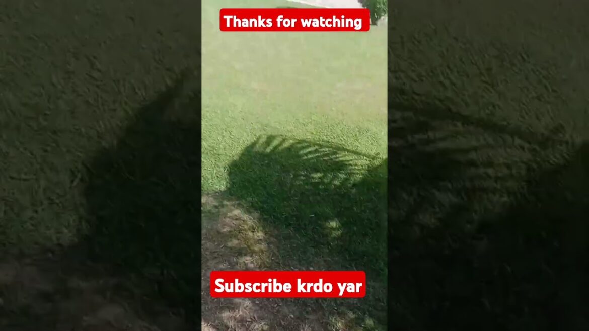 outdoor garden designs |garden designs for home #homedecor #gardeningtips #shorts #youtubeshorts outdoor garden designs |garden designs for home #homedecor #gardeningtips #shorts #youtubeshorts