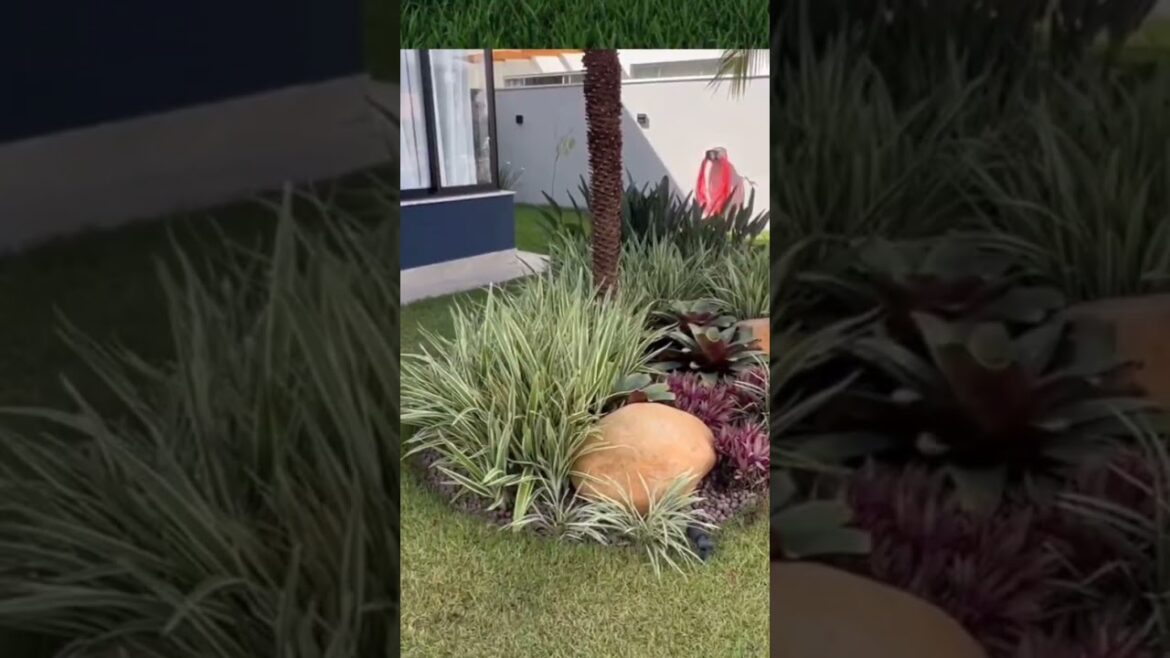 Ideas for small garden design | Small yard landscaping ideas