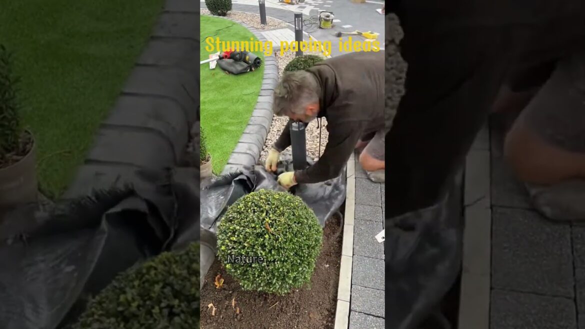 DIY Patio: Stunning paving ideas Ep.2 #garden #howto #handmade #outdoors #plants #harvest DIY Patio: Stunning paving ideas Ep.2 #garden #howto #handmade #outdoors #plants #harvest
