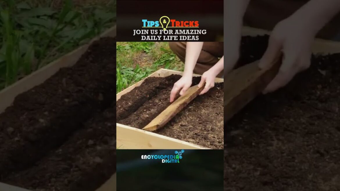 New Trending Videos 2024 | 100% Viral Shorts | Trends Continues #Shorts #Viral #Trending