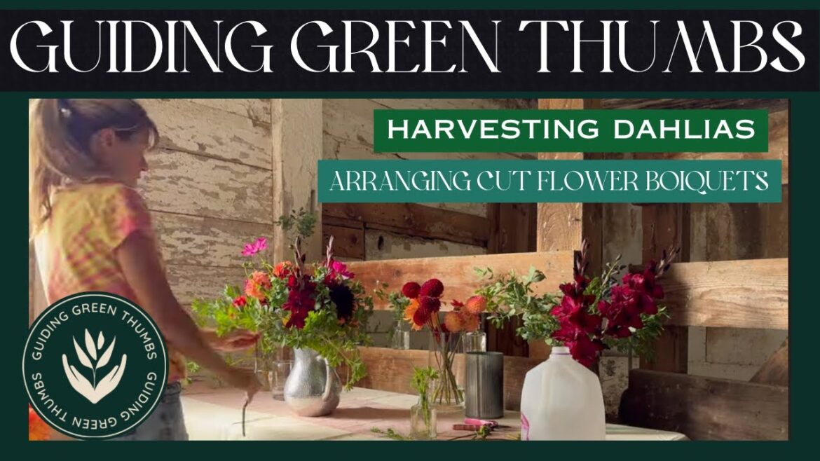 Harvesting Dahlias and Arranging Cut Flower Bouquets