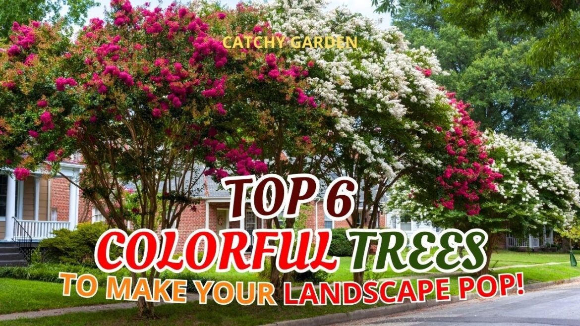 π² TOP 6 COLORFUL TREES TO MAKE YOUR LANDSCAPE POP! π³πΈπ // Gardening Ideas π² TOP 6 COLORFUL TREES TO MAKE YOUR LANDSCAPE POP! π³πΈπ // Gardening Ideas