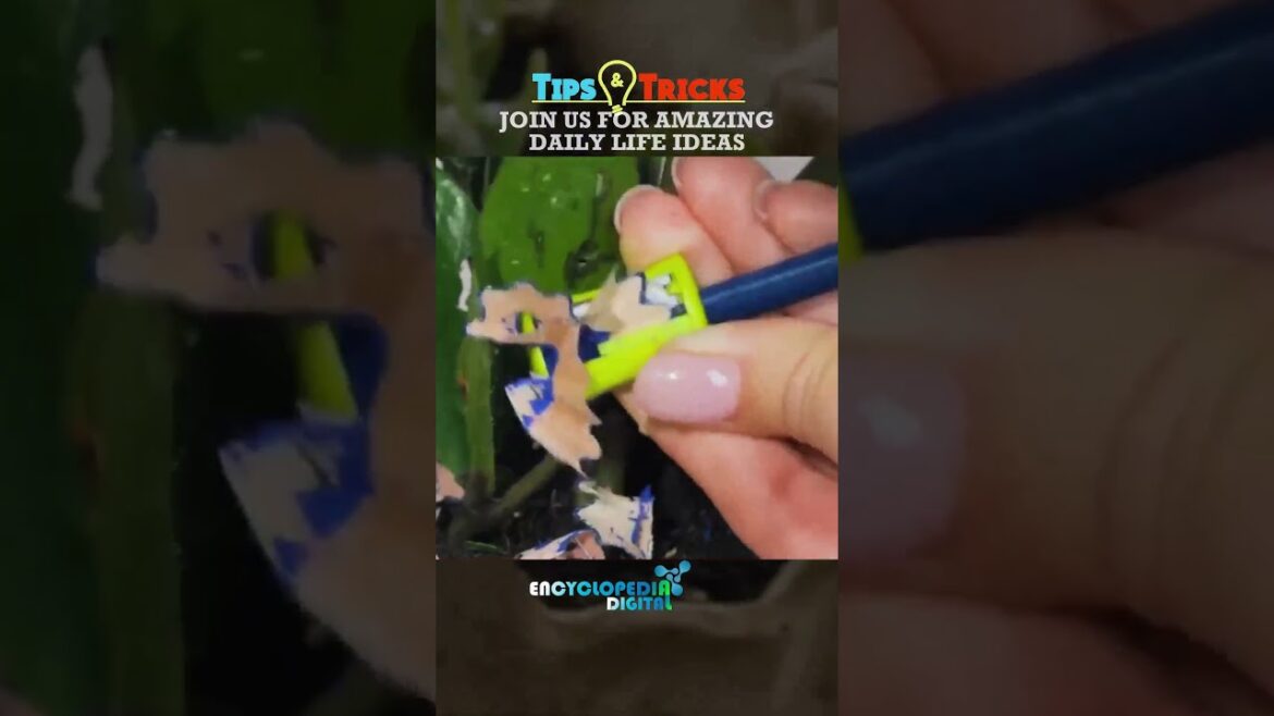 New Trending Videos 2024 | 100% Viral Shorts | Trends Continues #Shorts #Viral #Trending