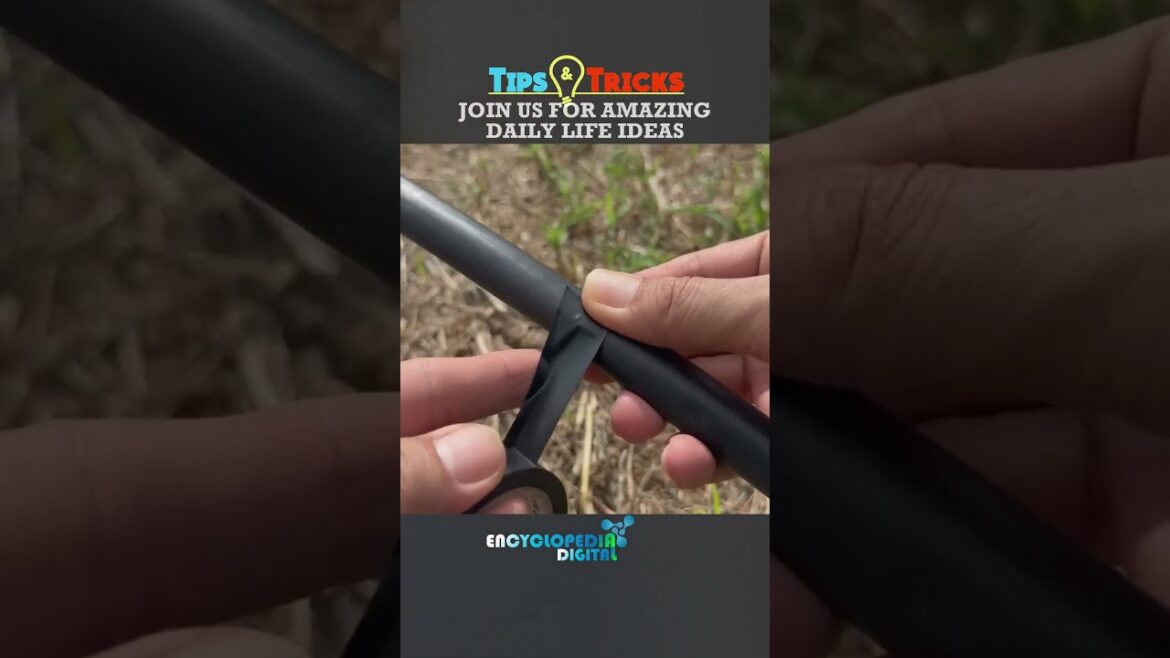 New Trending Videos 2024 | 100% Viral Shorts | Trends Continues #Shorts #Viral #Trending