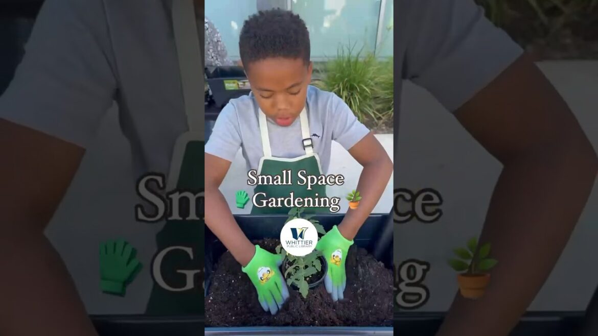 Small Space Gardening at the Whittier Library 🪴 #Whittier #Gardening #Community Small Space Gardening at the Whittier Library 🪴 #Whittier #Gardening #Community