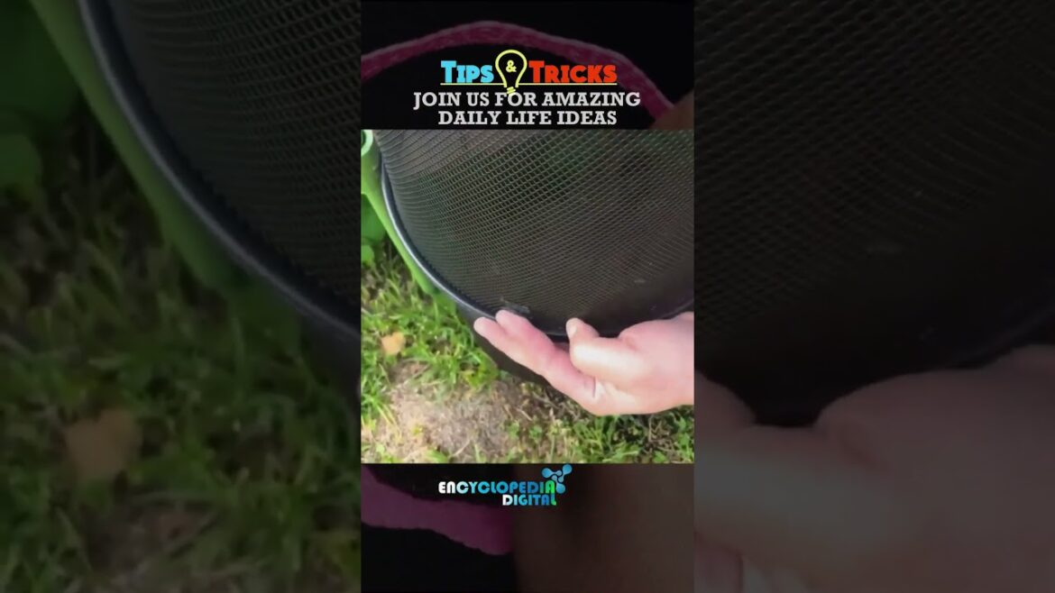 New Trending Videos 2024 | 100% Viral Shorts | Trends Continues #Shorts #Viral #Trending