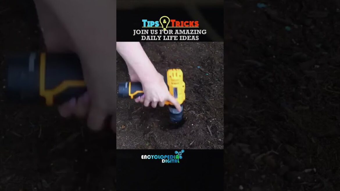 New Trending Videos 2024 | 100% Viral Shorts | Trends Continues #Shorts #Viral #Trending