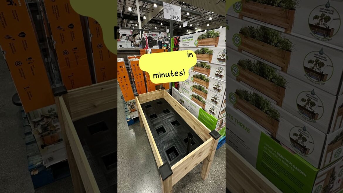 Costco Plant and Garden Deals #shorts  | MOODY BLOOMS