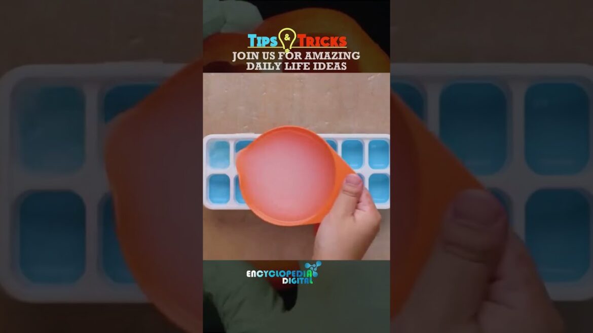 New Trending Videos 2024 | 100% Viral Shorts | Trends Continues #Shorts #Viral #Trending New Trending Videos 2024 | 100% Viral Shorts | Trends Continues #Shorts #Viral #Trending