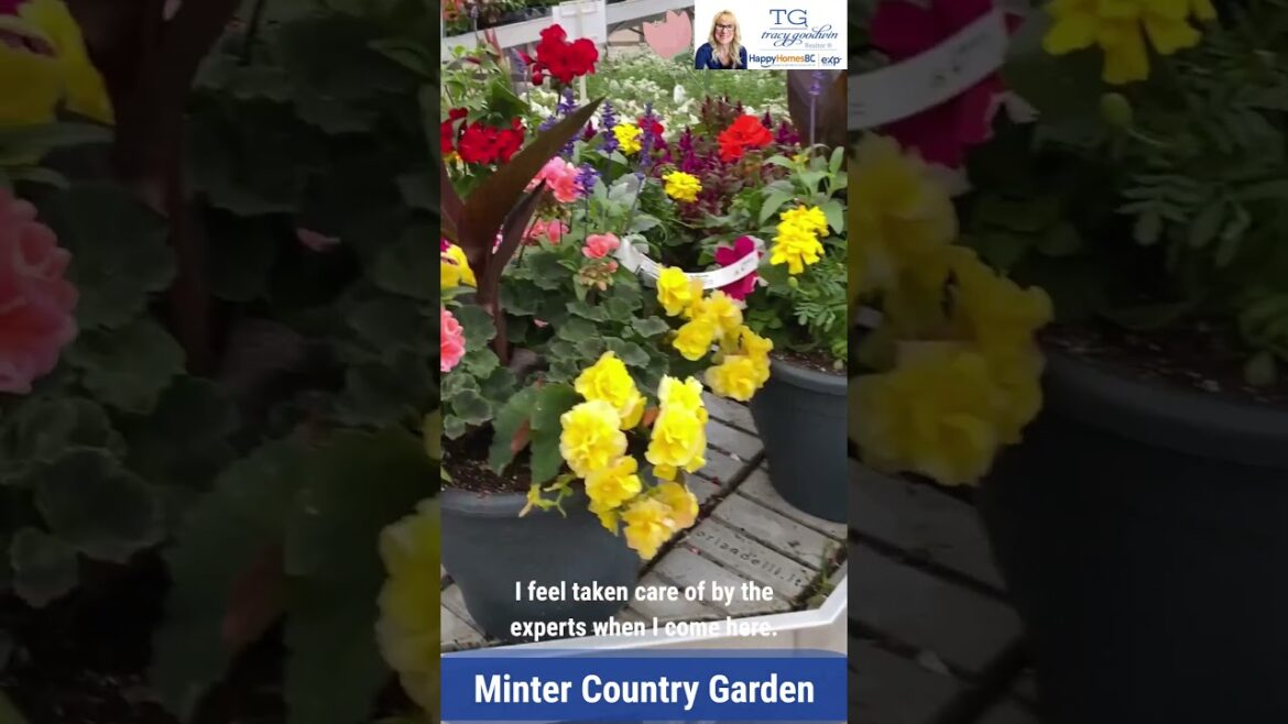 MINTER COUNTRY GARDEN | Store and Garden Centre | “Complete Solutions for Every Gardener’s Dream” MINTER COUNTRY GARDEN | Store and Garden Centre | "Complete Solutions for Every Gardener's Dream"