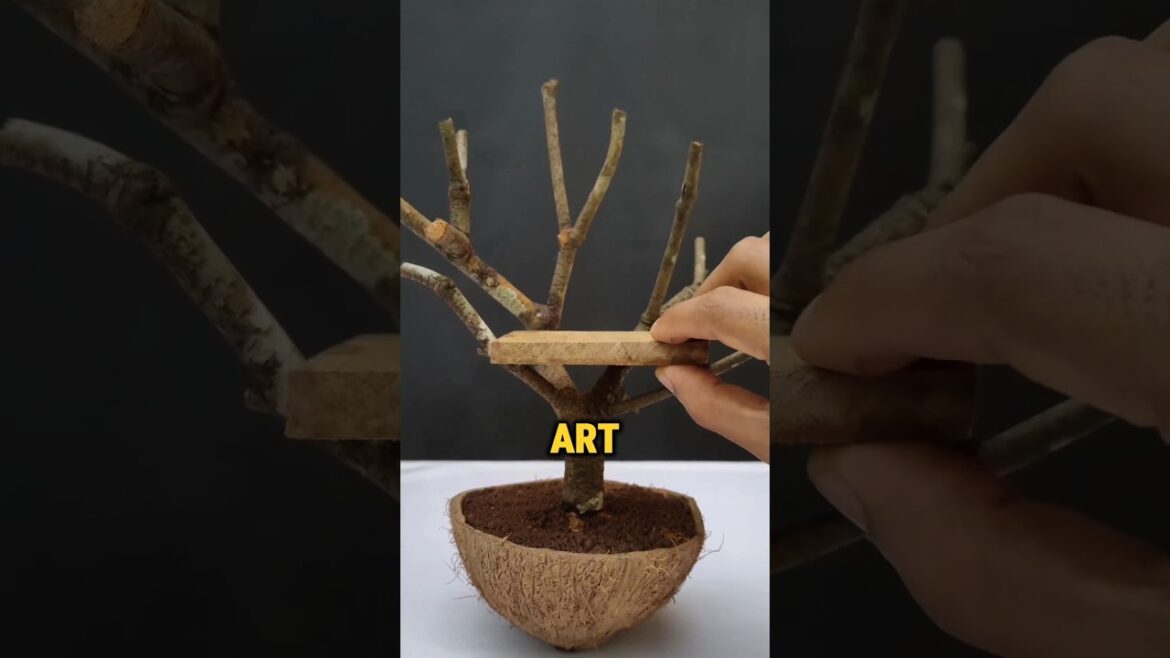 Tiny Tree House Made From Coconut Shells! 🤯 #shorts Tiny Tree House Made From Coconut Shells! 🤯 #shorts