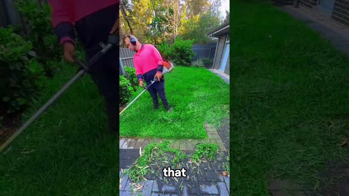 Satisfying Gardening Work 🌳 #garden #gardening #satisfying #cleaning #grass #lawn #viral #fyp #92 Satisfying Gardening Work 🌳 #garden #gardening #satisfying #cleaning #grass #lawn #viral #fyp #92