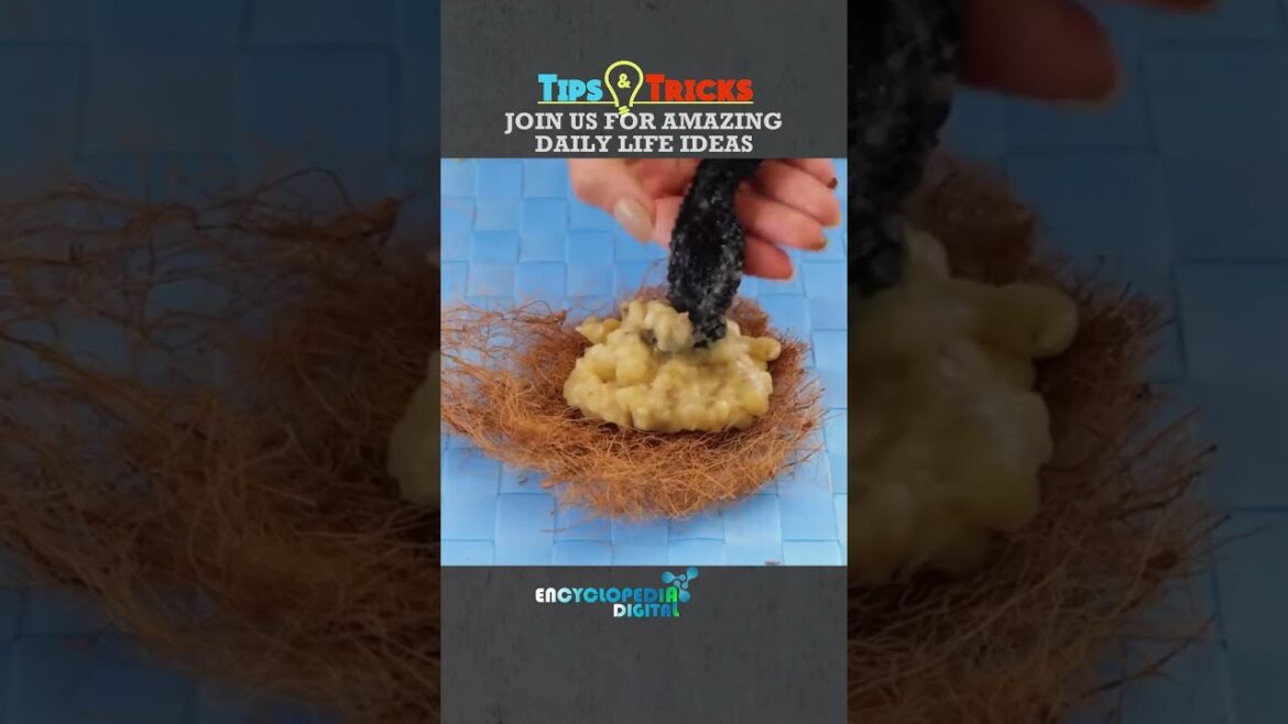 New Trending Videos 2024 | 100% Viral Shorts | Trends Continues #Shorts #Viral #Trending