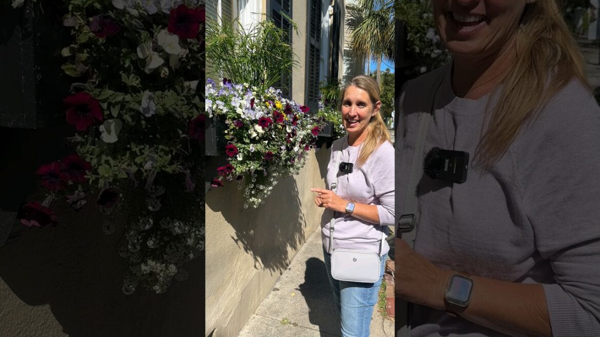 Garden Quick Tip #23: Boost Petunia Blooms! ๐ธ #garden #flowers #containergardening #plants Garden Quick Tip #23: Boost Petunia Blooms! ๐ธ #garden #flowers #containergardening #plants