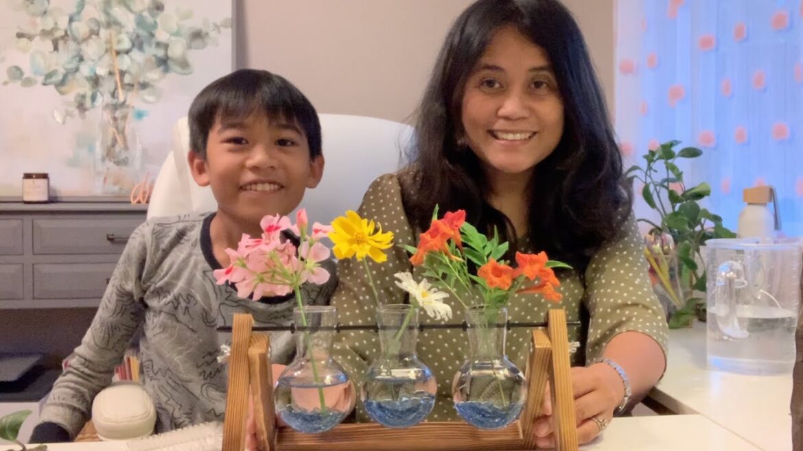 CALIFORNIA LIVING | Plant Terrarium