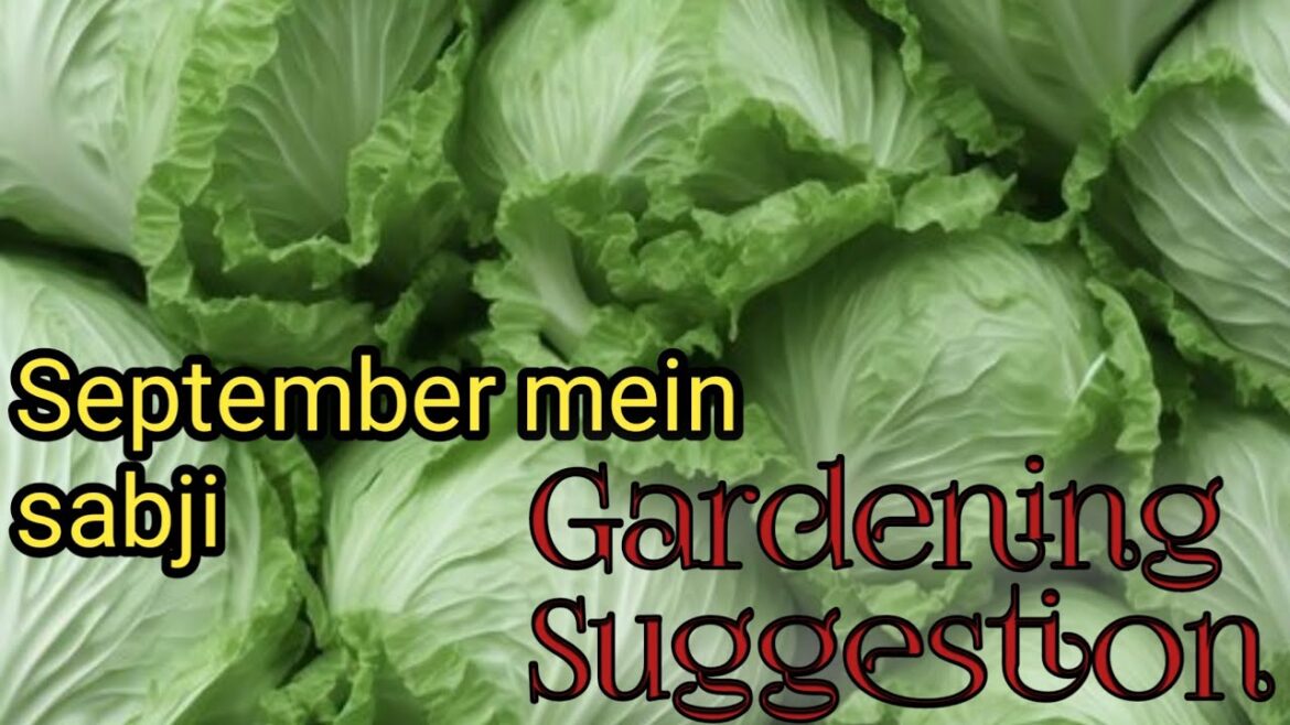 The suri Gardener’s Guide to Starting a Container Garden | how to grow plants π The suri Gardener's Guide to Starting a Container Garden | how to grow plants π