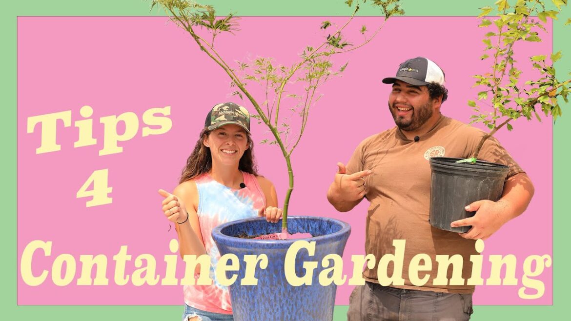 Tips For the Container Gardening with Elizabeth and Corbin! Tips For the Container Gardening with Elizabeth and Corbin!