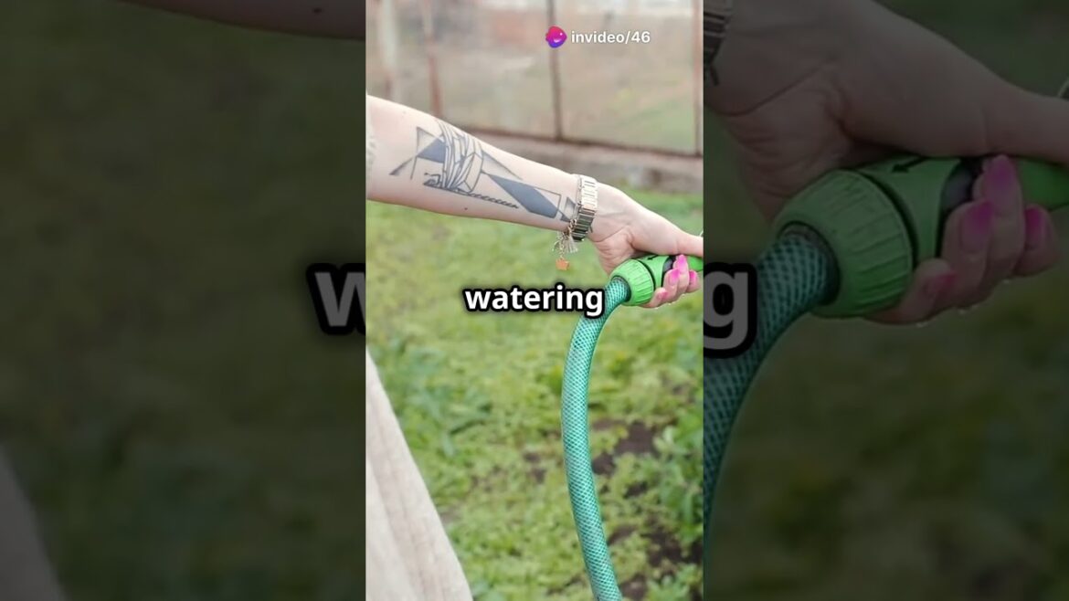 12 Garden Products that Waste Your Money #youtubeshorts #gardentips #vegetablegardening #gardening 12 Garden Products that Waste Your Money #youtubeshorts #gardentips #vegetablegardening #gardening