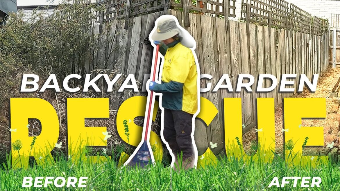 Backyard Garden Rescue | Witness an amazing transformation!