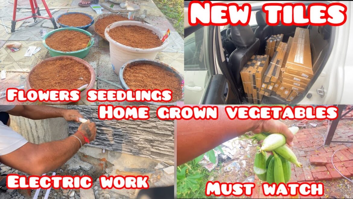 Winter flowers full process |New Tiles|Home grown vegetable#Gardening #hardwork