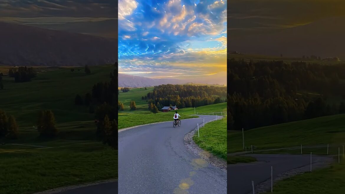 The Magic of Morning Dew: Nature Awakens #nature #ytshorts