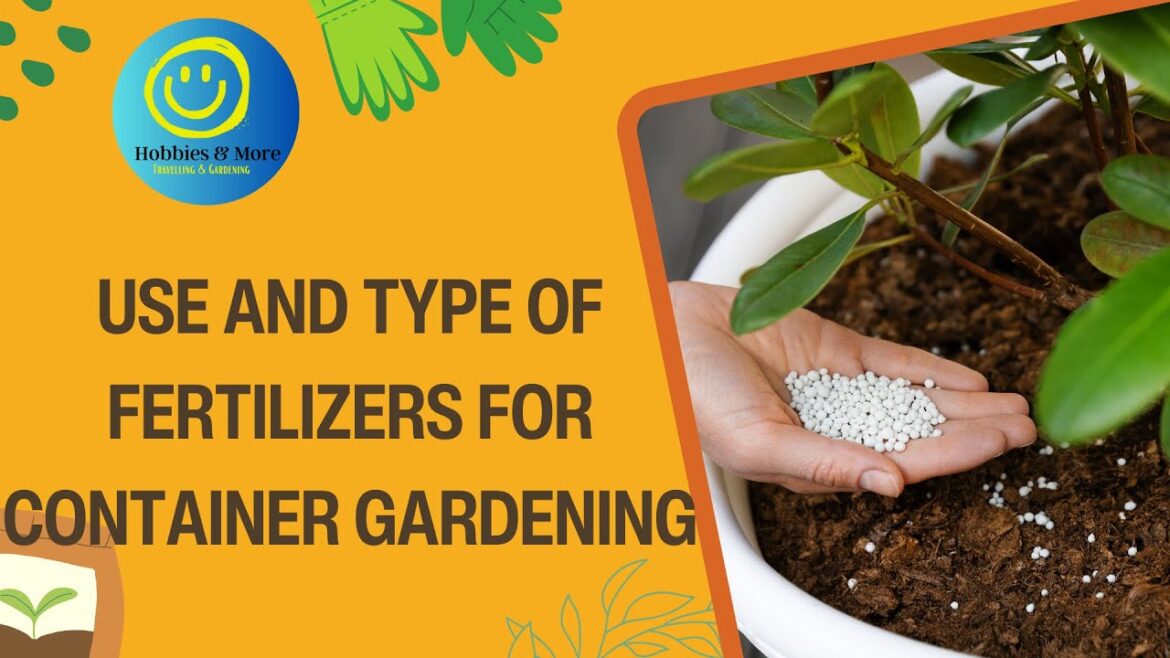 How to use Fertilizer in container garden