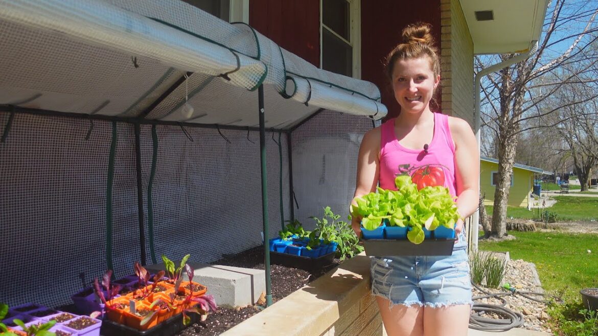 Greenhouse Gardening in Wisconsin: Growing food in April