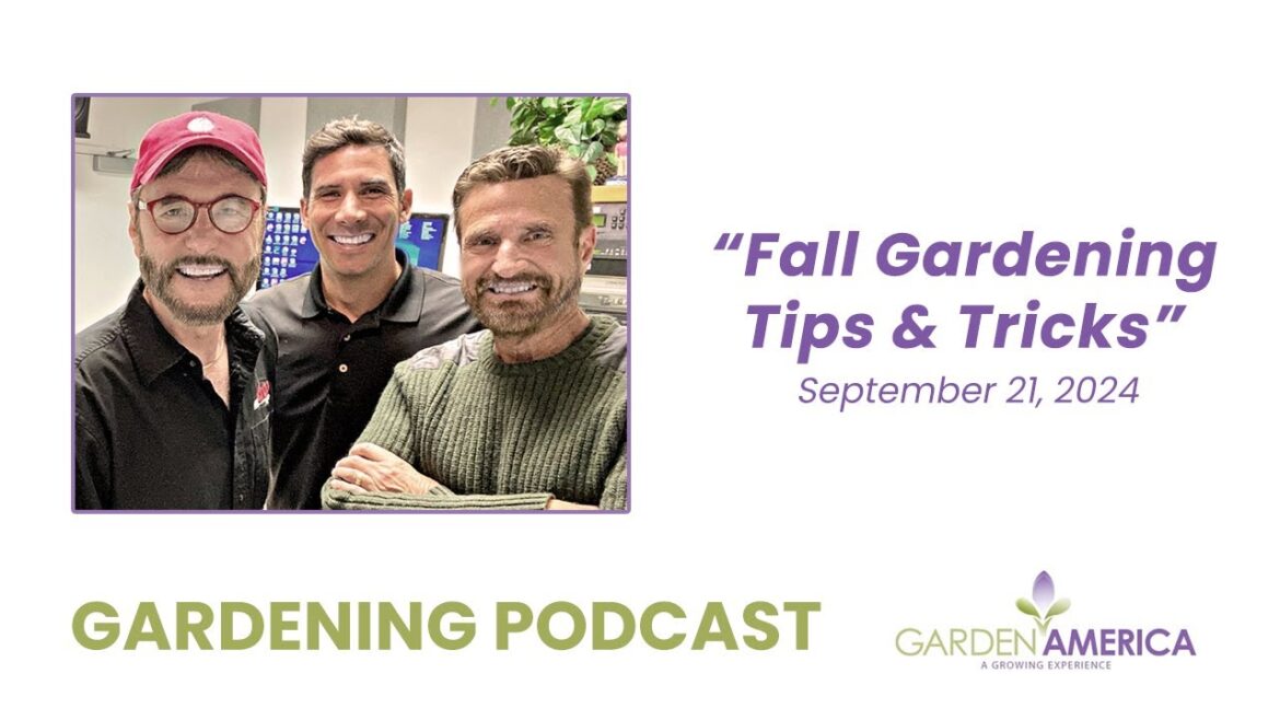 Fall Gardening Tips & Tricks - Garden America Podcasts & Radio Show [9.21.24]