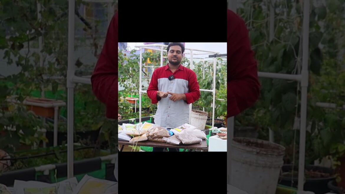 Gardening tips - potting mix