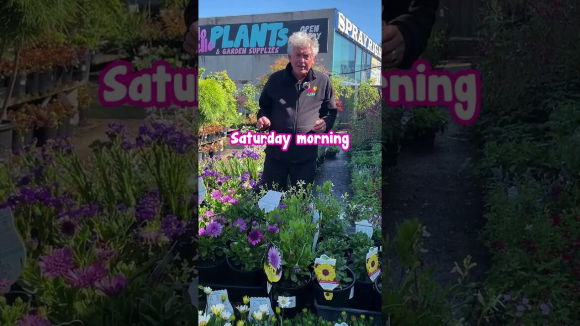 Where Did My Love for Cottage Gardens Come From?🏡🌷🐕🪵