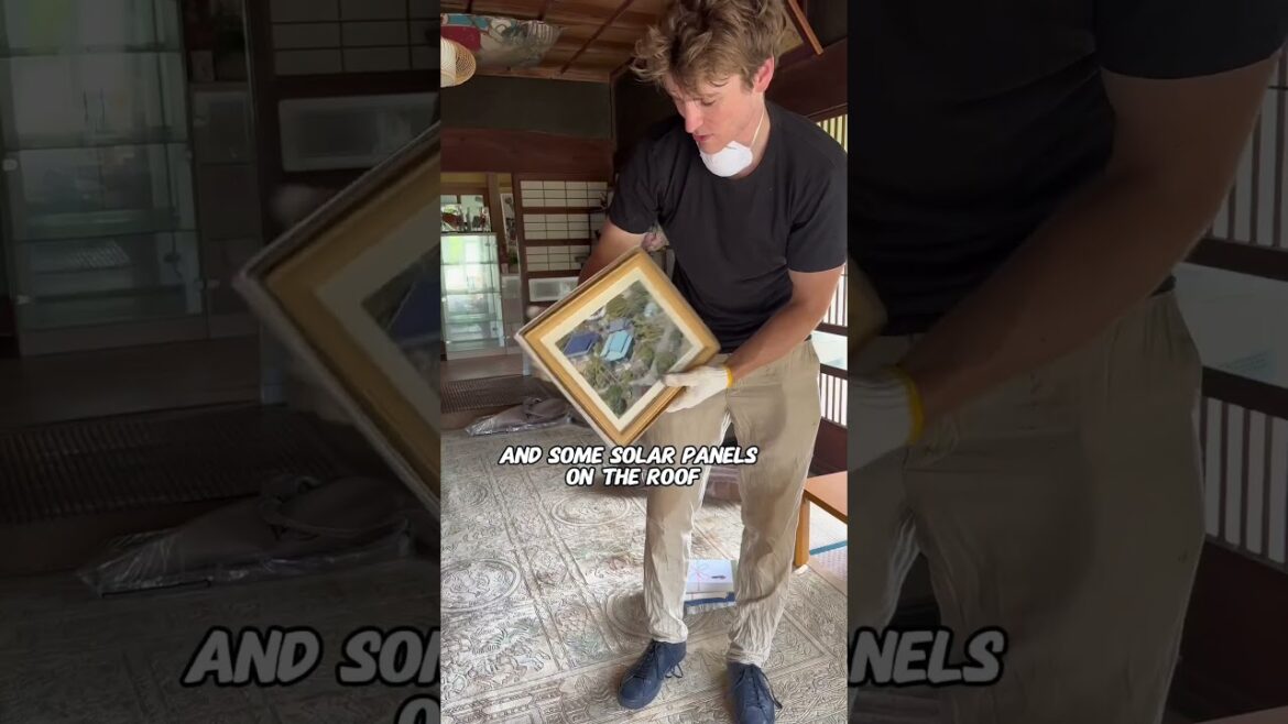 My Abandoned Japanese Farm 2010 vs. 2024  #Akiya #House