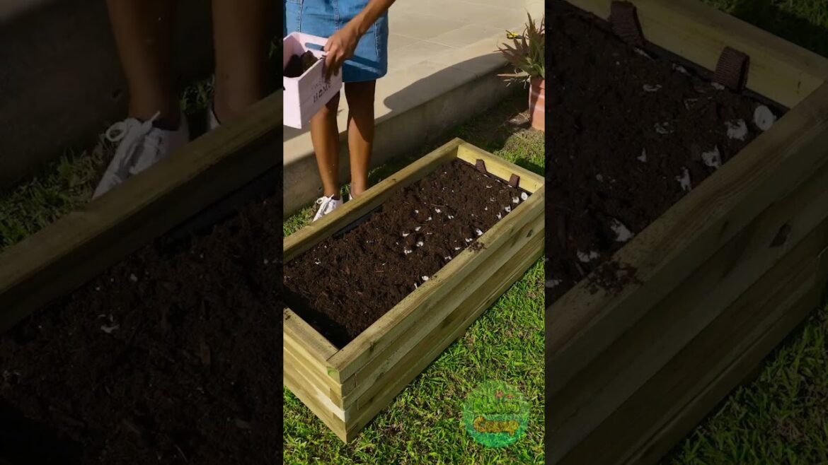 Game-Changing Gardening Hacks for Every Home! #CanIComeWithYou