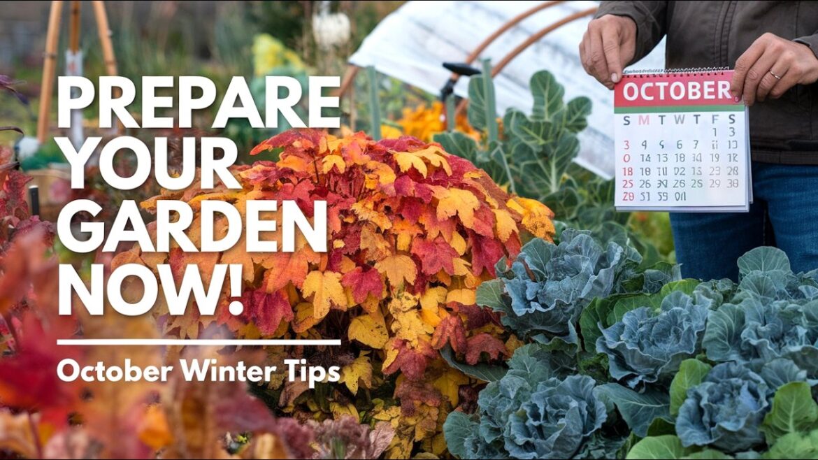 How to Prepare Your Garden for Winter in October: Expert Tips for a Thriving Winter Garden