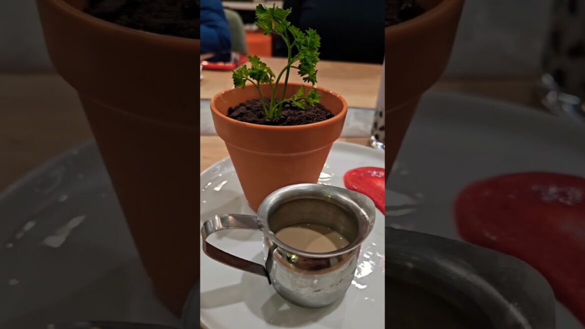 Dessert night!  It's all edible! #food #ediblegardening #garden #lavender #boba #shorts