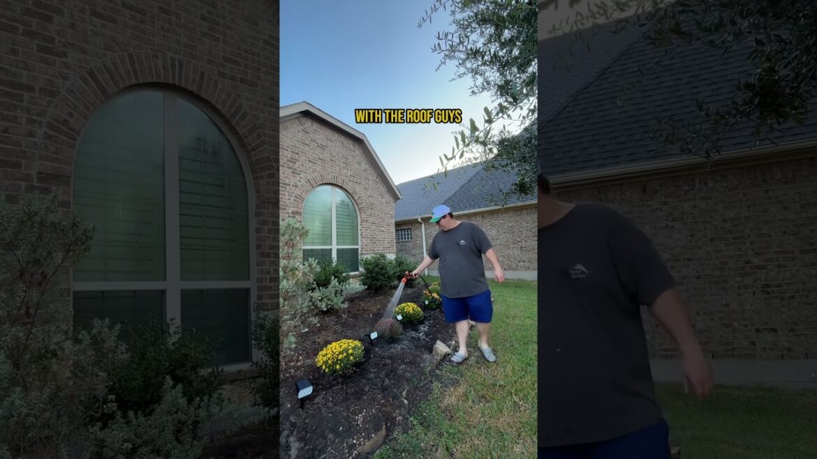 Karen Next Door Didn’t Like Me Watering My Mums Karen Next Door Didn’t Like Me Watering My Mums