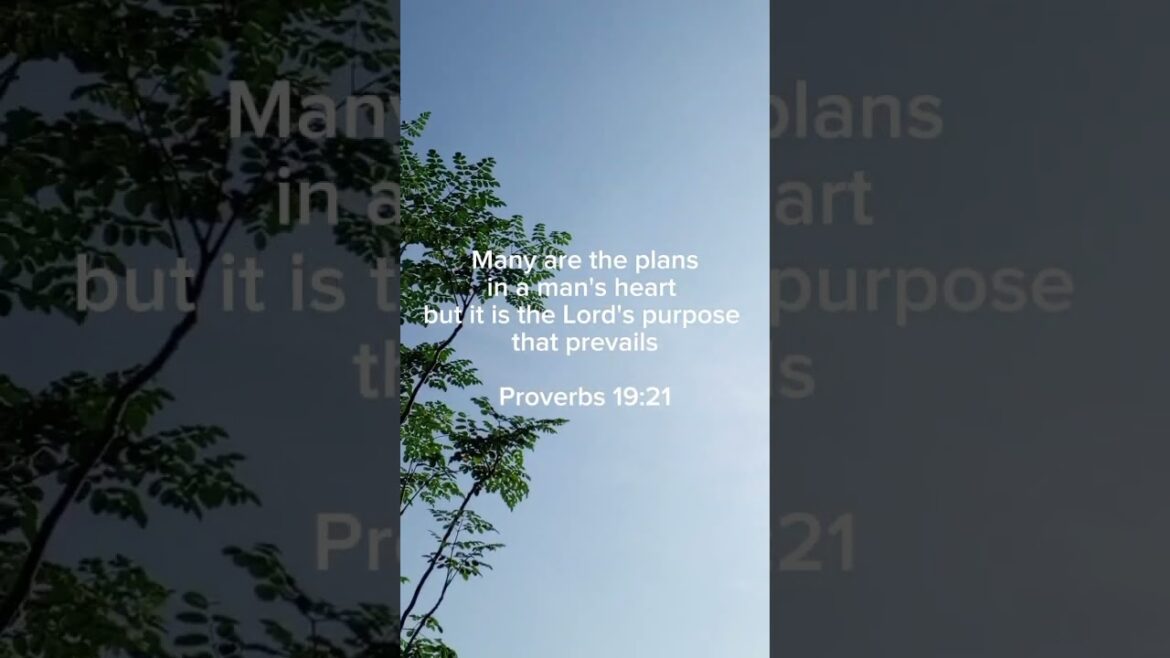 Many are the plans... #shorts