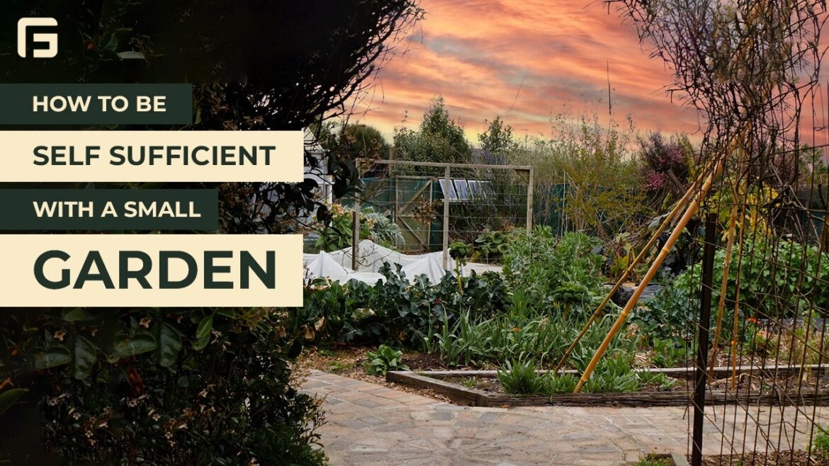 Small Garden Self Sufficiency Tips from Crafty Gatherer NZ | GridFree Connections