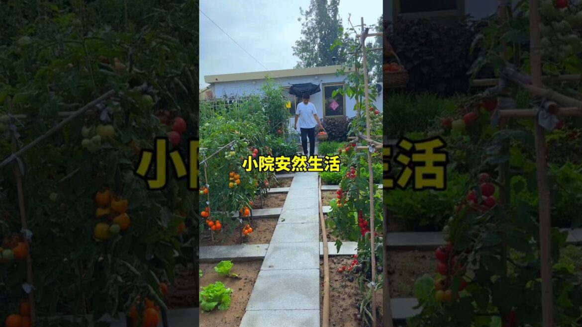 Live your life the way you like, grow vegetables happily, and enjoy every day of your life.