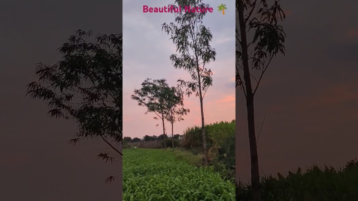 The Most Beautiful Nature on earth ππΏπΏπ¦#breathtakingviews #naturalwonders #environment #garden The Most Beautiful Nature on earth ππΏπΏπ¦#breathtakingviews #naturalwonders #environment #garden