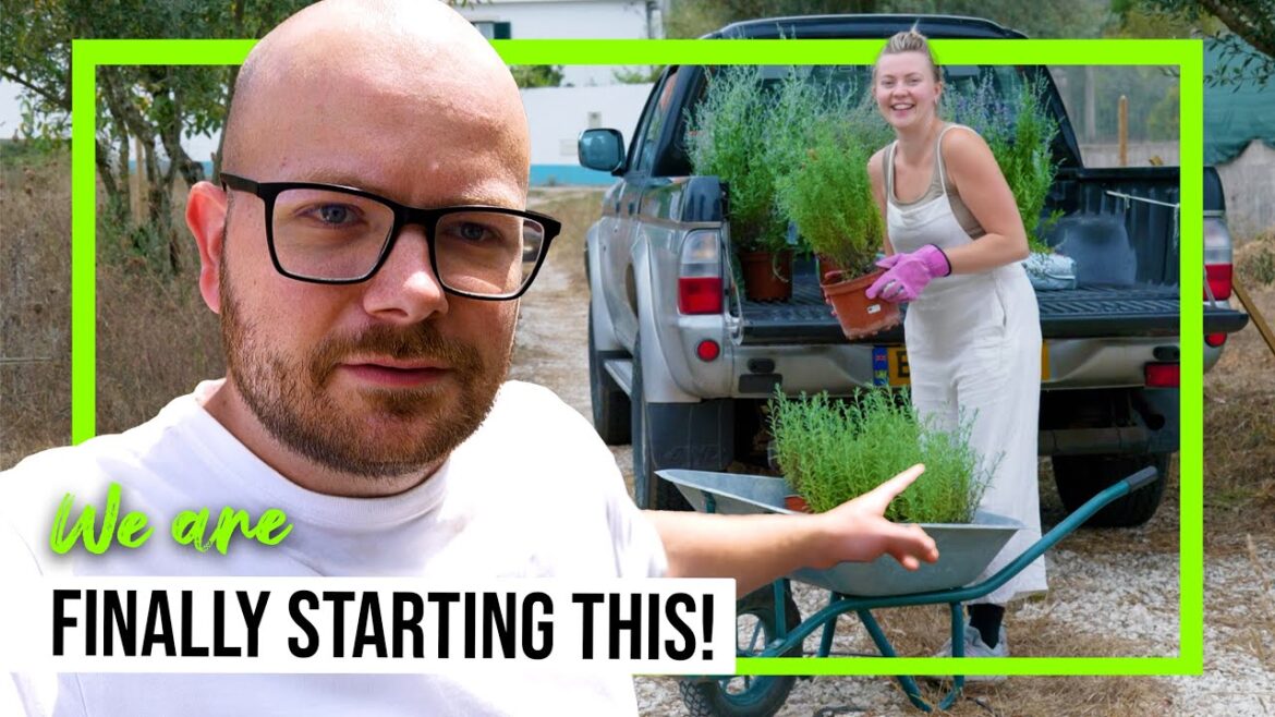 Drought tolerant garden ideas | Off Grid homestead in Portugal