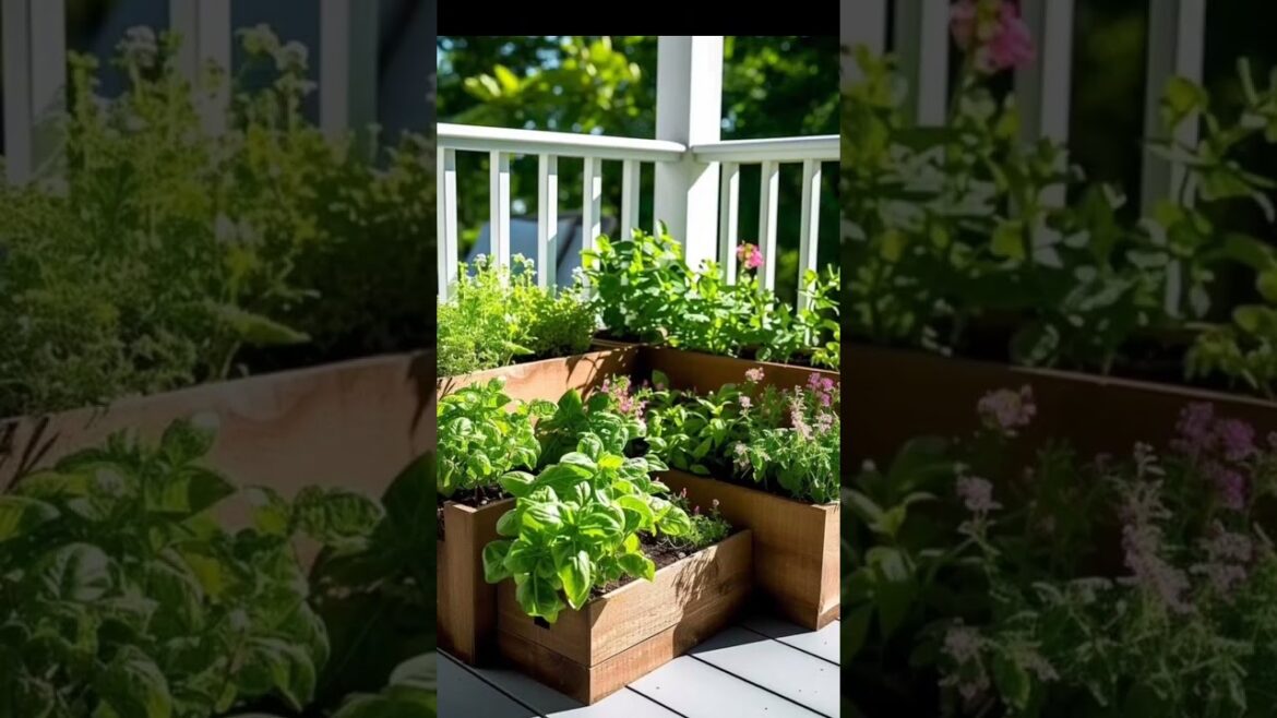 Ideas for small garden design | Small yard landscaping ideas