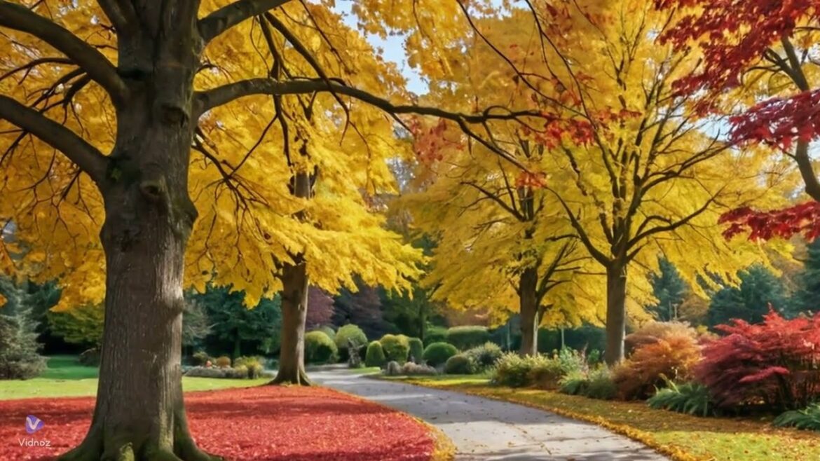 From Fall Colors to Tropical Paradise in ONE Backyard?