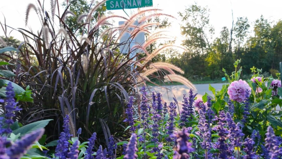 This Jaw-dropping Display Garden Stops Traffic