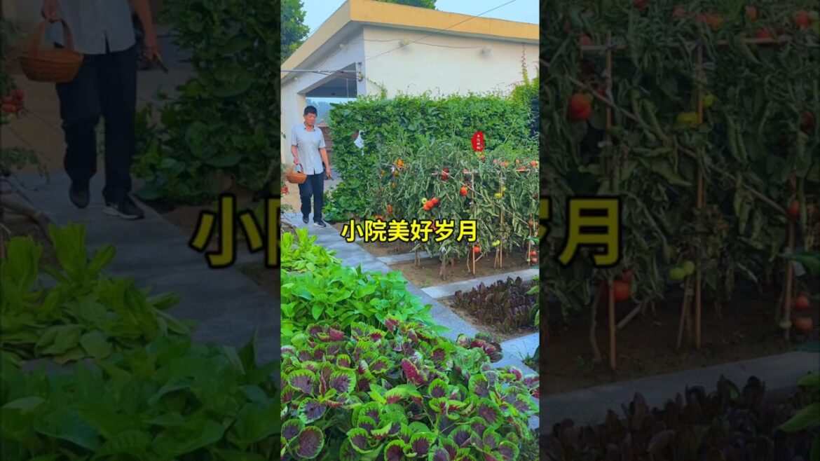 I grow vegetables with my wife in the yard, and I am very happy with simple food.