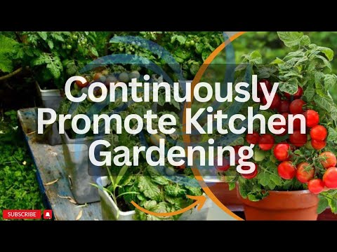 Department of Agriculture State of Azad jammu & Kashmir || Continuously Promote Kitchen Gardening Department of Agriculture State of Azad jammu & Kashmir || Continuously Promote Kitchen Gardening