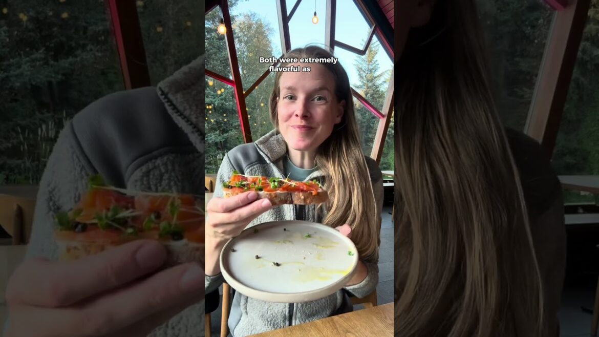 We found a hidden oasis in Akureyri! 🤩🌺 #travel #iceland #icelandtravel #icelandtrip #akureyri