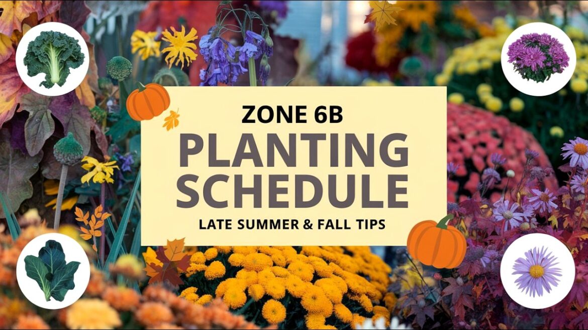 Zone 6B Planting Schedule: Late Summer & Fall Gardening Tips! Zone 6B Planting Schedule: Late Summer & Fall Gardening Tips!