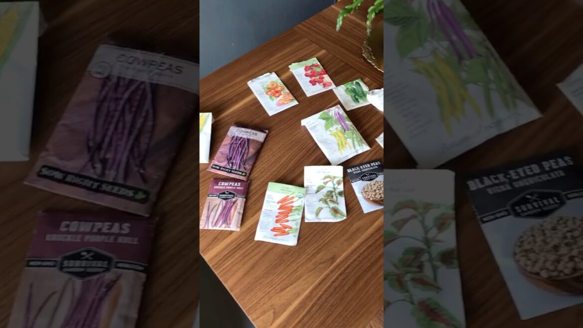 Fun For The Family #gardening #family #youtube #shorts Fun For The Family #gardening #family #youtube #shorts