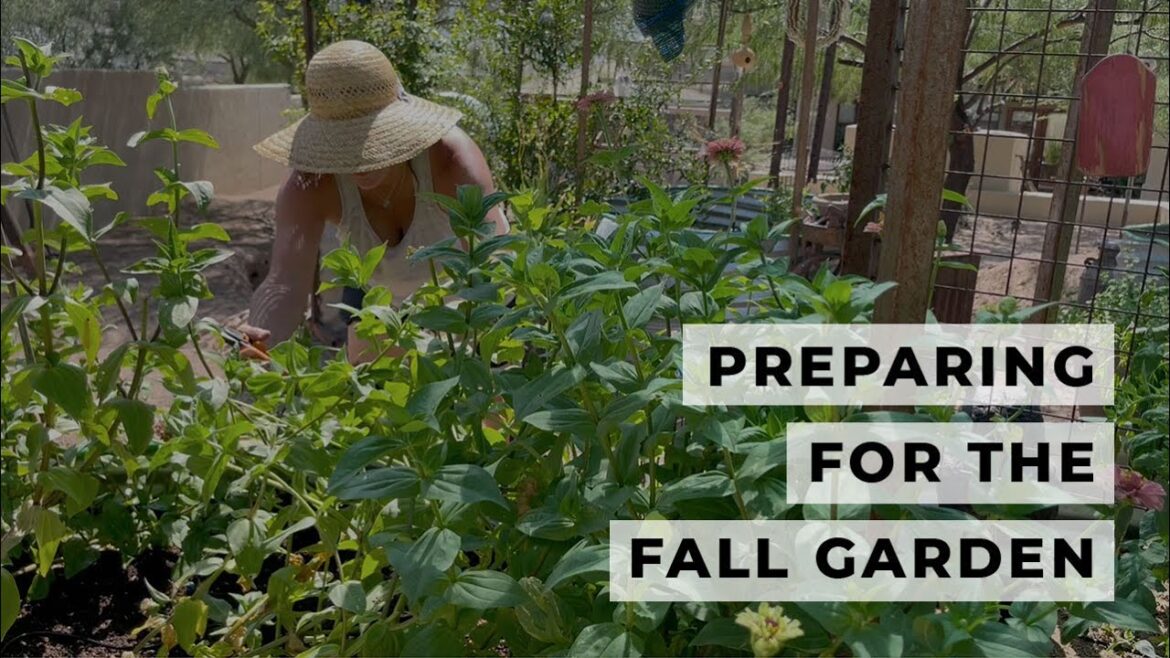 Preparing My Raised Beds & Planning for the 2024 Fall Garden | Relaxing No Talking | Ep. 4 Preparing My Raised Beds & Planning for the 2024 Fall Garden | Relaxing No Talking | Ep. 4