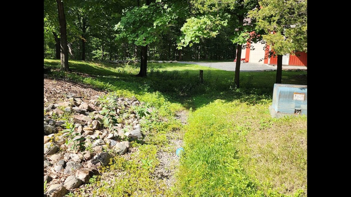 Planting ideas for the swale in my client's Food Forest Design | Food Forest Design Solutions